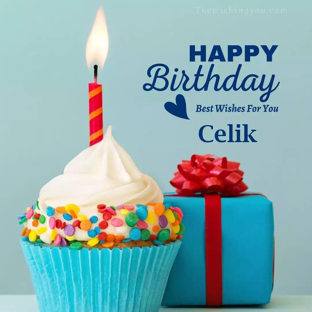 Happy Birthday Celik written on image