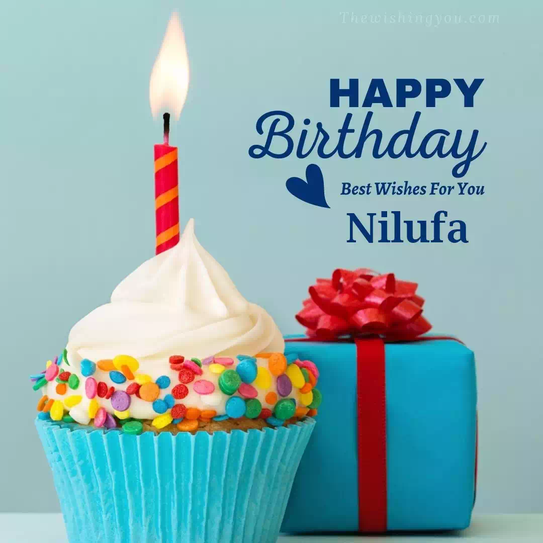 Happy Birthday Nilufa written on image 1