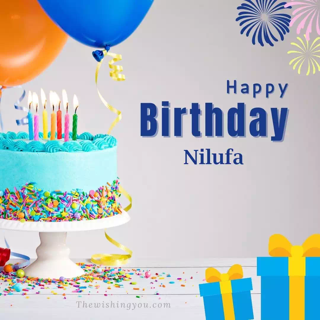 Happy Birthday Nilufa written on image 2