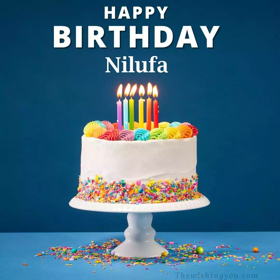Happy Birthday Nilufa written on image 3